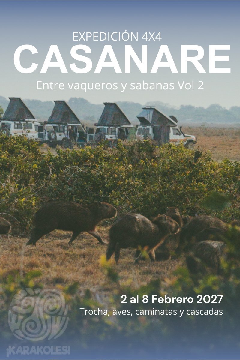 Afiche de la edición Casanare: vaqueros y sabana, 2 al 8 de febrero de 2027