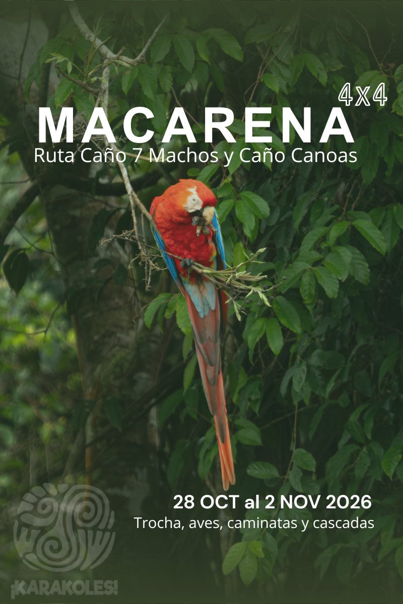Afiche de la edición Macarena 4x4, 28 de octubre al 2 de noviembre de 2026